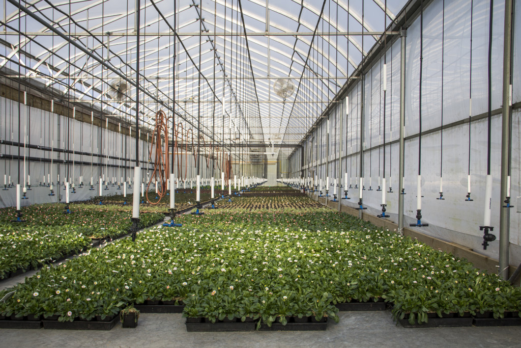 1-GENERAL-propagation-house-copy_1.jpeg