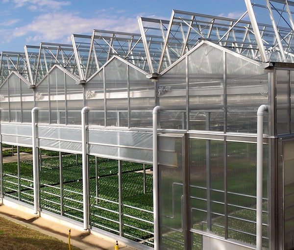 RBI Open roof greenhouse