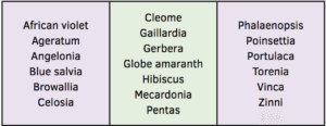 Table 1. Examples of cold-sensitive floriculture crops, which are those with a base temperature of at least 46° F.